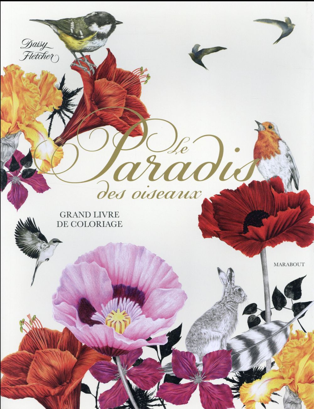 Le paradis des oiseaux