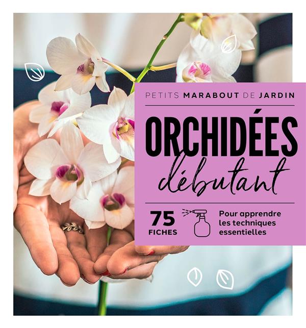 ORCHIDEES DEBUTANT