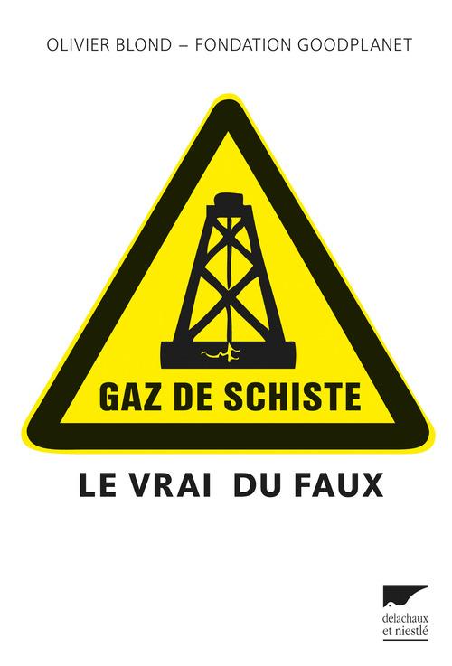 GAZ DE SCHISTE (LE VRAI DU FAUX)