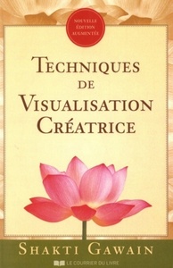 TECHNIQUES DE VISUALISATION CREATRICE
