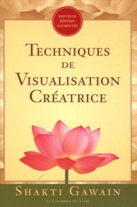 TECHNIQUES DE VISUALISATION CREATRICE
