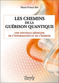 LES CHEMINS DE LA GUERISON QUANTIQUE - UNE NOUVELLE MEDECINE DE L'INFORMATION ET DE L'ENERGIE