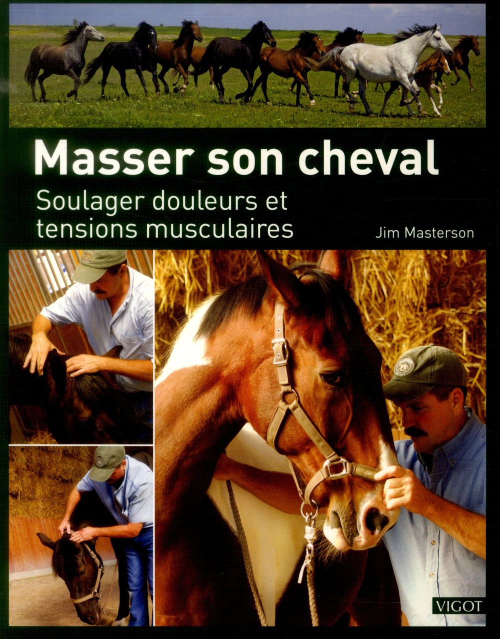 MASSER SON CHEVAL - SOULAGER DOULEURS ET TENSIONS MUSCULAIRES