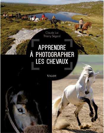 PHOTOGRAPHIER LES CHEVAUX