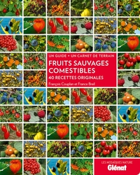 FRUITS SAUVAGES COMESTIBLES - 40 RECETTES ORIGINALES