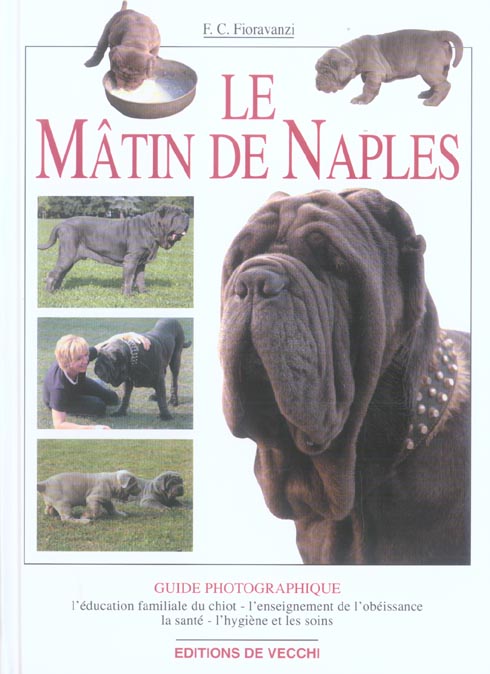 MATIN DE NAPLES