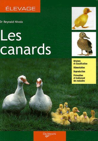 CANARDS