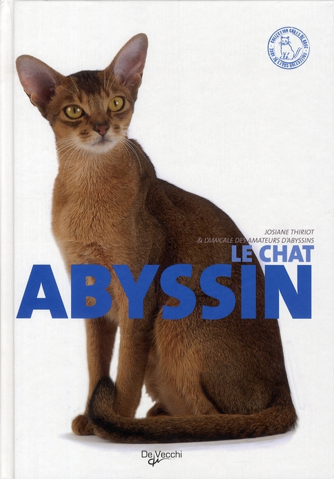 CHAT ABYSSIN