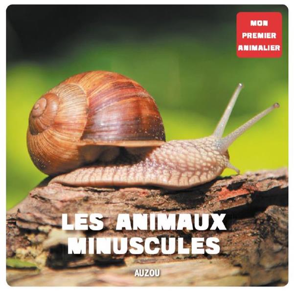 https://bddi.2dcom.fr/LocalImageExists