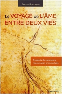 LE VOYAGE DE L'AME ENTRE DEUX VIES - TRANSFERTS DE CONSCIENCE, REINCARNATION ET IMMORTALITE