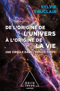 DE L'ORIGINE DE L'UNIVERS A L'ORIGINE DE LA VIE