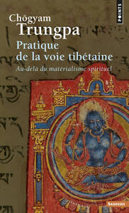 PRATIQUE DE LA VOIE TIBETAINE. AU-DELA DU MATERIALISME SPIRITUEL ((REEDITION))