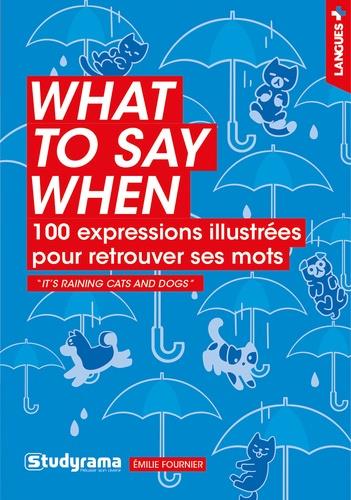 WHAT TO SAY WHEN - 100 EXPRESSIONS ILLUSTREES POUR RETROUVER SES MOTS