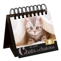 365 JOURS CHATS ET CHATONS  - CALENDRIER GEO