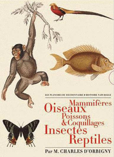 https://bddi.2dcom.fr/LocalImageExists
