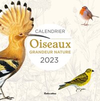 CALENDRIER OISEAUX GRANDEUR NATURE 2023