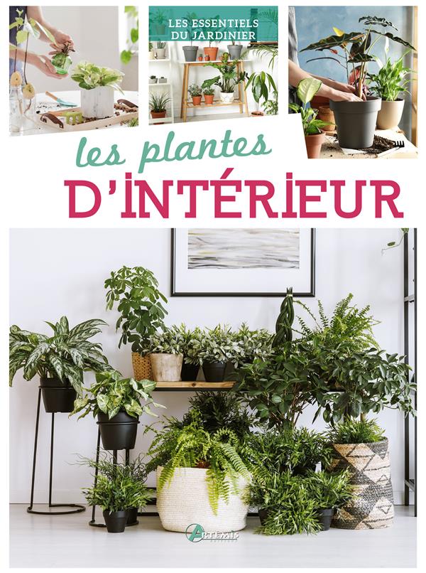 PLANTES D'INTERIEUR (LES)