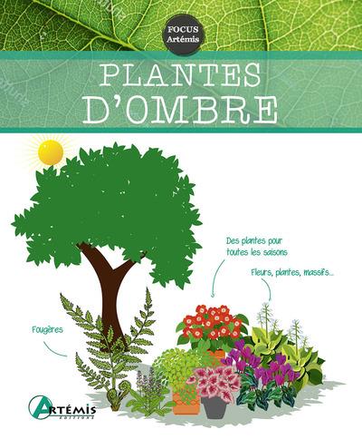 PLANTES D'OMBRE