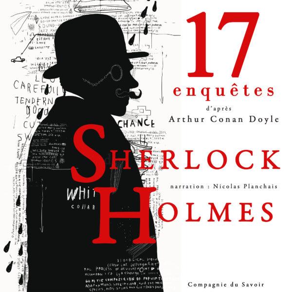 17 ENQUETES DE SHERLOCK HOLMES