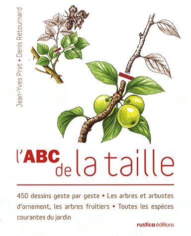 L'ABC DE LA TAILLE. 450 DESSINS GESTE PAR GESTE - LES ARBRES ET ARBUSTES D'ORNEMENT, LES ARBRES FRUI