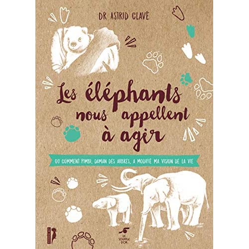 LES ELEPHANTS NOUS APPELLENT A AGIR - OU COMMENT PIMBI, DAMAN DES ARBRES, A MODIFIE MA VISION DE LA