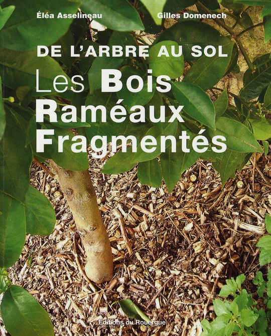 DE L'ARBRE AU SOL - LES BOIS RAMEAUX FRAGMENTES