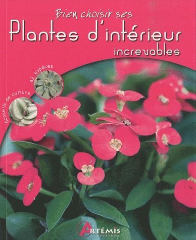 PLANTES D'INTERIEUR INCREVABLES