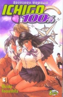 Ichigo 100% - Tome 6