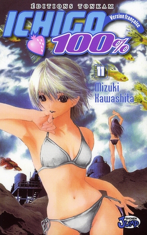 Ichigo 100% - Tome 11