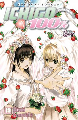 Ichigo 100% - Tome 19
