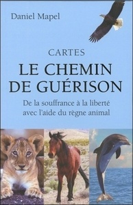 CARTES LE CHEMIN DE GUERISON