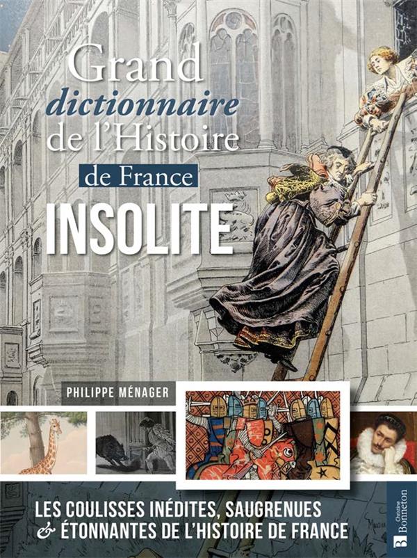 GRAND DICTIONNAIRE DE L'HISTOIRE DE FRANCE INSOLITE - LES COULISSES INEDITES, SAUGRENUES & ETONNANTE