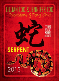 SERPENT 2013 - PREVISIONS & FENG SHUI