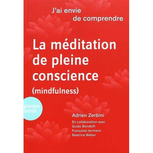 J'AI ENVIE DE COMPRENDRE  LA MEDITATION DE PLEINE CONSCIENCE (MINDFULNESS) RR