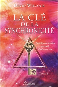 LA CLE DE LA SYNCHRONICITE T1