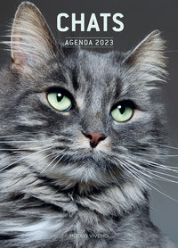 AGENDA DES CHATS 2023