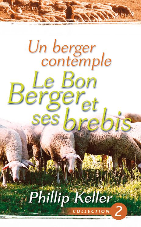 UN BERGER CONTEMPLE LE BON BERGER ET SES BREBIS (NVELLE ED.)