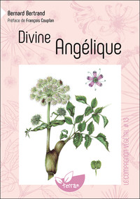 DIVINE ANGELIQUE - VOL. 13
