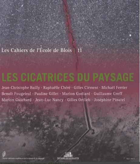 LES CAHIERS DE L'ECOLE DE BLOIS - TOME 11 LES CICATRICES DU PAYSAGE - VOL11