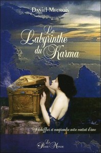 LE LABYRINTHE DU KARMA - DECHIFFRER ET COMPRENDRE NOTRE CONTRAT D'AME