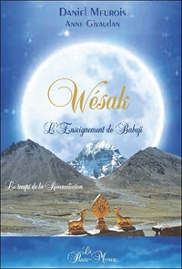WESAK - L'ENSEIGNEMENT DE BABAJI - LE TEMPS DE LA RECONCILIATION