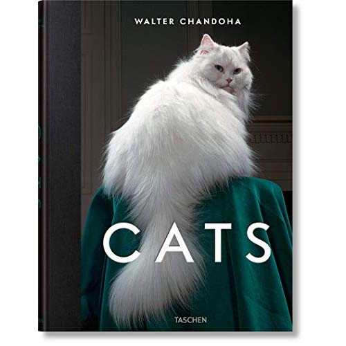 WALTER CHANDOHA. CATS. PHOTOGRAPHS 1942 2018 - EDITION MULTILINGUE