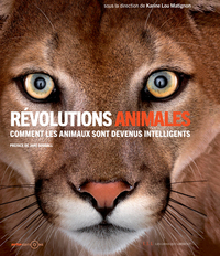 REVOLUTIONS ANIMALES - COMMENT LES ANIMAUX SONT DEVENUS INTELLIGENTS