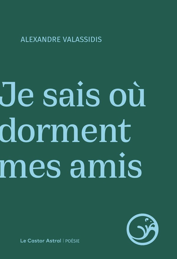 Je sais ou dorment mes amis