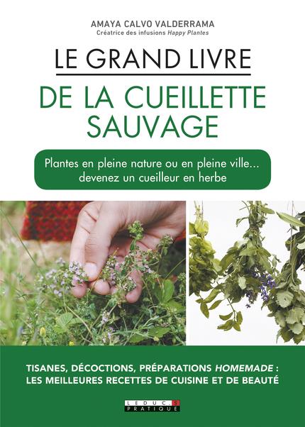 LE GRAND LIVRE DE LA CUEILLETTE SAUVAGE - PLANTES EN PLEINE NATURE OU EN PLEINE VILLE ...