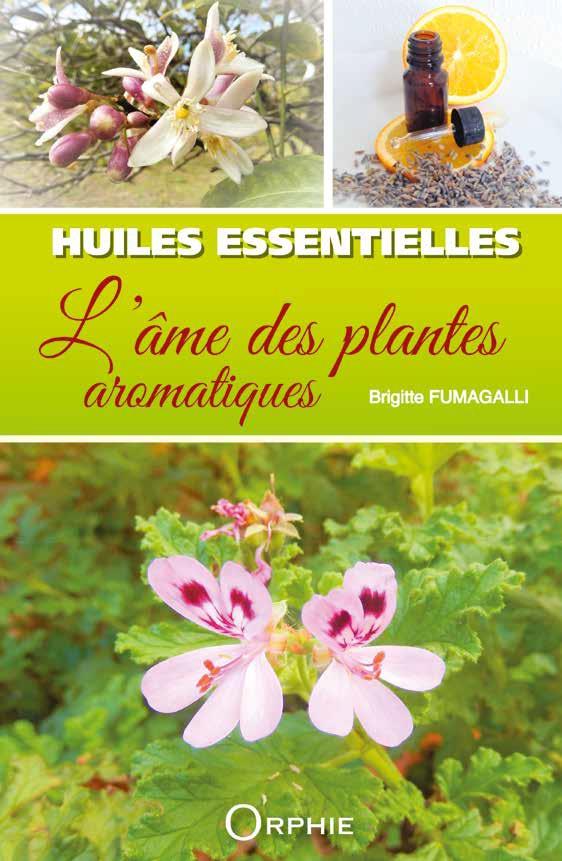 HUILES ESSENTIELLES - L'AME DES PLANTES AROMATIQUES