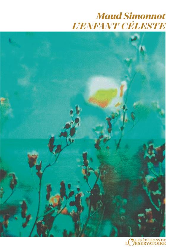L'enfant celeste