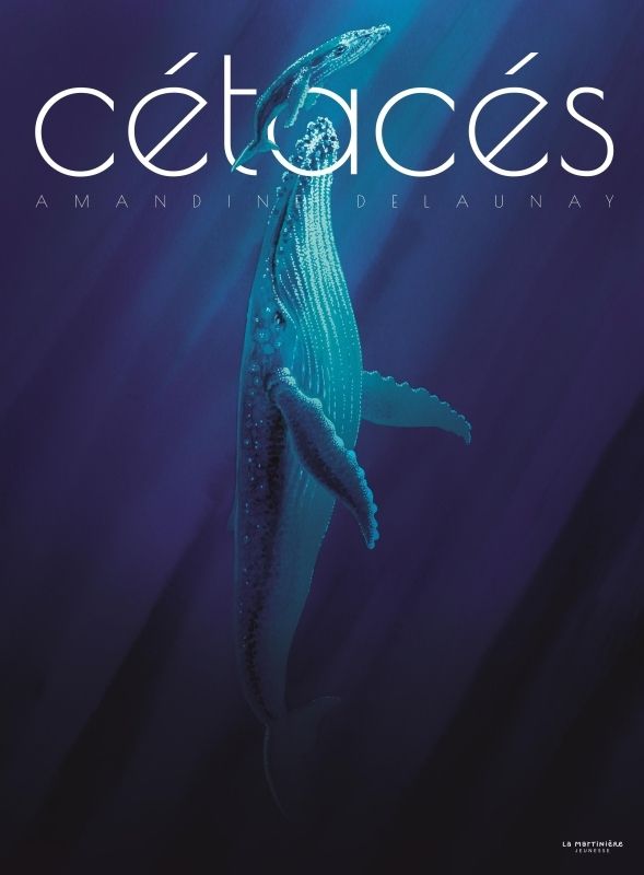 Cetaces