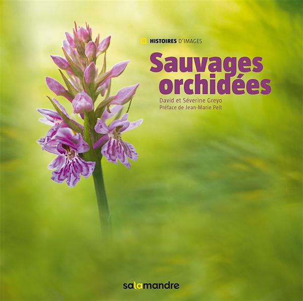 SAUVAGES ORCHIDEES