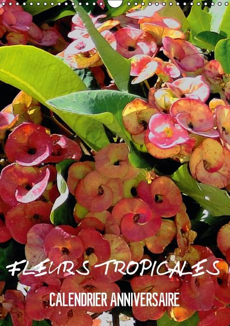 Fleurs tropicales / organiseur (Calendrier mural 2024 DIN A4